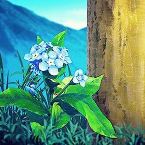 婉慈南一 踩踏之家
